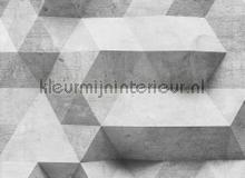 Concrete surface 1 papier peint AS Creation Designwalls dd118731