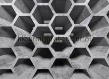 Honey comb structure 2 fototapeten AS Creation weltkarten 