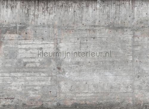 concrete wall fototapet dd118751 Moderne - Abstrakte AS Creation
