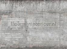 Concrete wall fototapeten AS Creation weltkarten 