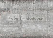 concrete wall behaang AS Creation Designwalls dd118751