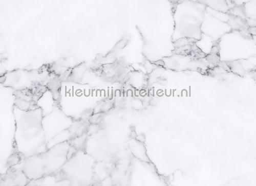 White marble 1 photomural dd118755 Designwalls AS Creation