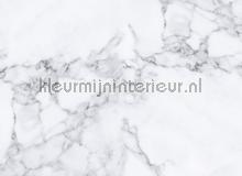 White marble 1 photomural AS Creation world maps 