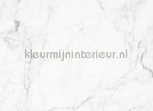 White marble 2 photomural AS Creation world maps 