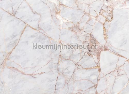 Gray light marble fottobehaang dd118761 Designwalls AS Creation