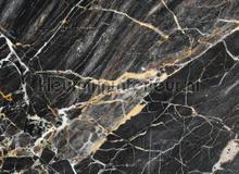 Back gold marble photomural AS Creation world maps 