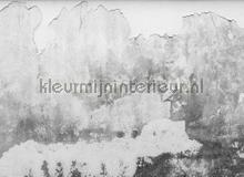 Brittle wall fototapeten AS Creation weltkarten 