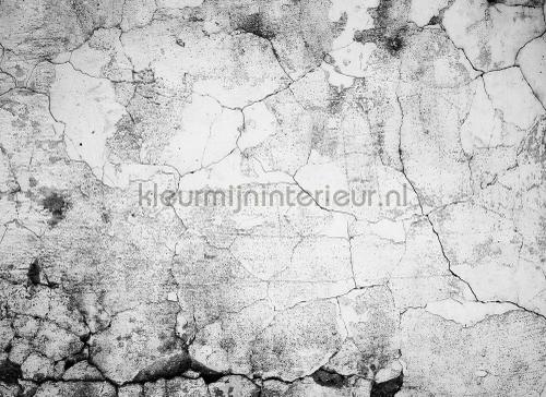 Cement crack fotomurali dd118769 Pietra - Calcestruzzo AS Creation