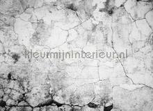 Cement crack fototapeten AS Creation weltkarten 