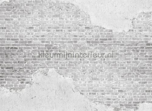 Old brick wall wallcovering dd118771 Designwalls AS Creation