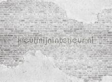 Old brick wall fototapeten AS Creation weltkarten 