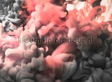 Colored smoke 2 papier peint AS Creation Designwalls dd118775