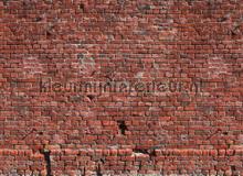 105333 fototapeten AS Creation weltkarten 