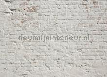 105334 fototapeten AS Creation weltkarten 