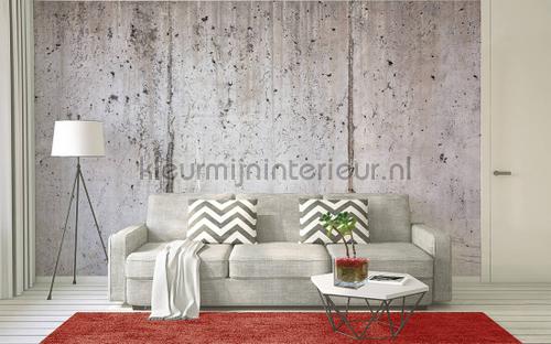  wallcovering dd118786 Designwalls AS Creation