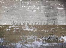 105337 fototapeten AS Creation weltkarten 