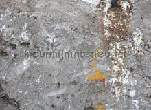 105338 fototapeten AS Creation weltkarten 