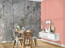 Betonwand met scheuren fototapeten AS Creation weltkarten 