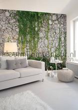 photomural Stones - Concrete
