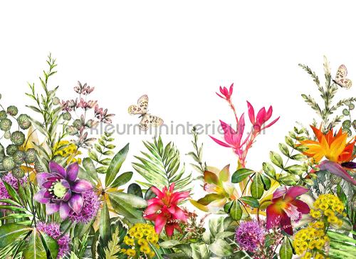  fototapet dd118799 Blomster - Planter AS Creation