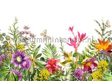 105348 papier peint AS Creation Designwalls dd118799