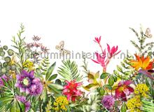  fototapet dd118799 Blomster - Planter AS Creation