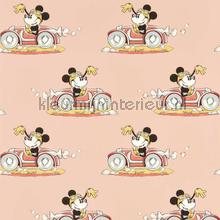 Minnie on the move - candy floss papel de parede Sanderson urbana 