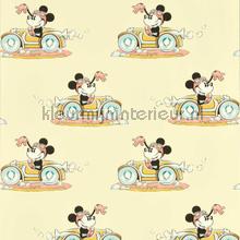 Minnie on the move - sherbet papel de parede Sanderson urbana 