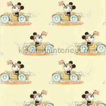 Minnie on the move - sherbet carta da parati Sanderson Wallpaper creations 