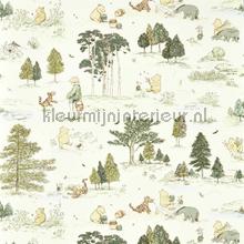 Winnie the pooh - macaron green papel de parede Sanderson urbana 