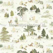 Winnie the pooh - macaron green carta da parati Sanderson Wallpaper creations 