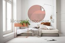 Behangcirkel roselux stickers mureaux Komar tout images 