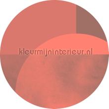 Behangcirkel roselux stickers mureaux Komar tout images 
