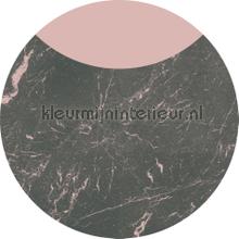 Behangcirkel stripe marmor photomural Komar Trendy Hip 