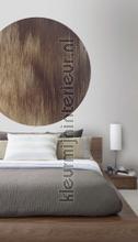 Behangcirkel windlines color stickers mureaux Komar tout images 