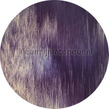 Behangcirkel harmony stickers mureaux Komar tout images 
