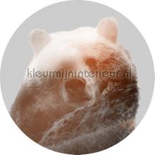 Behangcirkel bearava stickers mureaux Komar tout images 