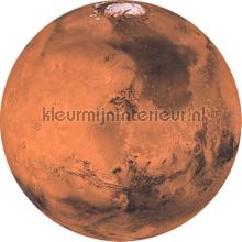 Behangcirkel mars interieurstickers Komar bloemen natuur 