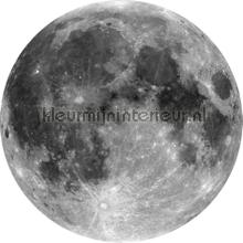 Behangcirkel moon autocolantes decoracao Komar Bebs Crianas 