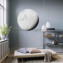 Behangcirkel luna autocolantes decoracao Komar Bebs Crianas 