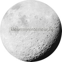Behangcirkel luna stickers mureaux Komar tout images 