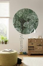 Behangcirkel novel monstera decorative selbstkleber Komar Selbstkleber top 15 