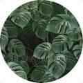 Behangcirkel novel monstera p035-vd2 thmes