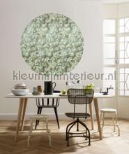 Behangcirkel greenery decorative selbstkleber Komar Selbstkleber top 15 