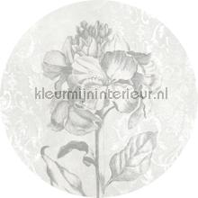 Behangcirkel barock beauty stickers mureaux Komar tout images 
