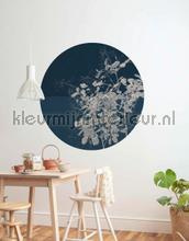 Behangcirkel branch decorative selbstkleber Komar Selbstkleber top 15 