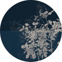 Behangcirkel branch stickers mureaux Komar tout images 