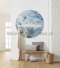 Behangcirkel ocean twist decorative selbstkleber Komar Selbstkleber top 15 
