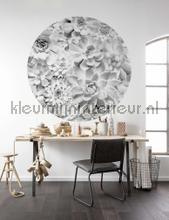 Behangcirkel echeveria decoration stickers Komar all images 