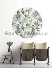 Behangcirkel leni wallstickers Komar vindue stickers 